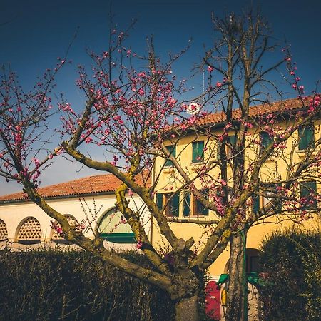 Le Vigne Morosina Vila Cessalto Exterior foto