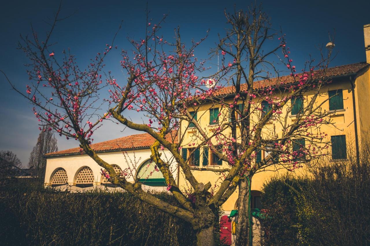 Le Vigne Morosina Vila Cessalto Exterior foto